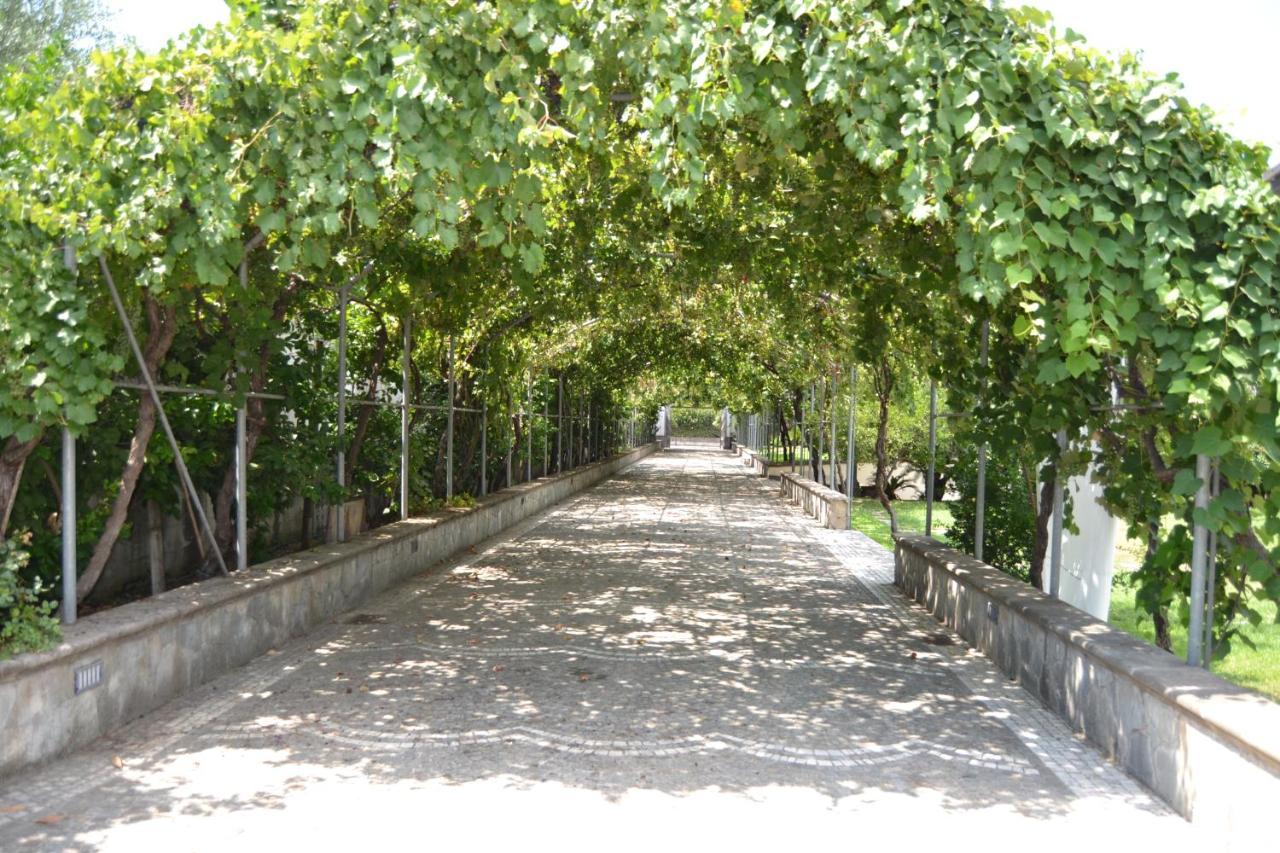 I Giardini Del Vesuvio Villa Somma Vesuviana Luaran gambar