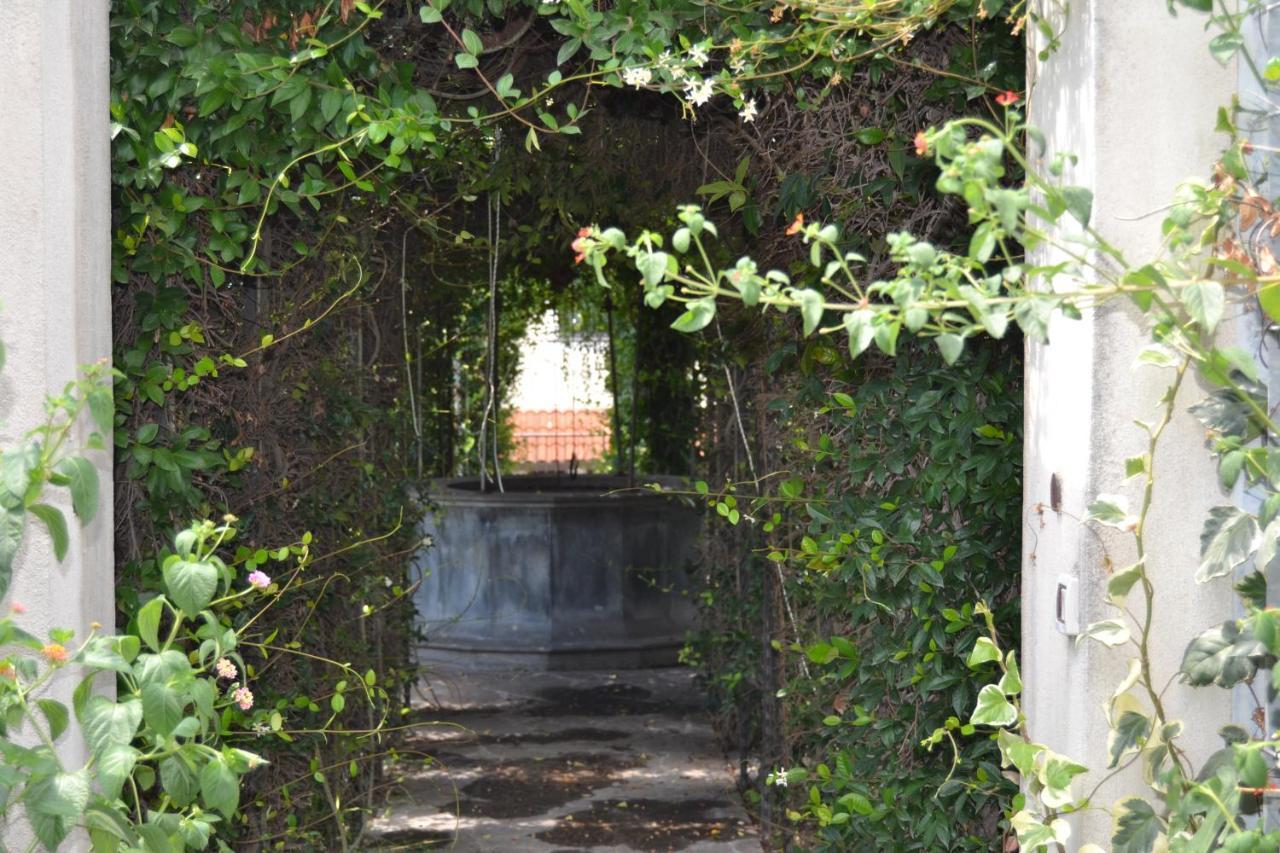 I Giardini Del Vesuvio Villa Somma Vesuviana Luaran gambar